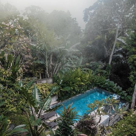 Aji Lodge Bungalow 우붓 외부 사진