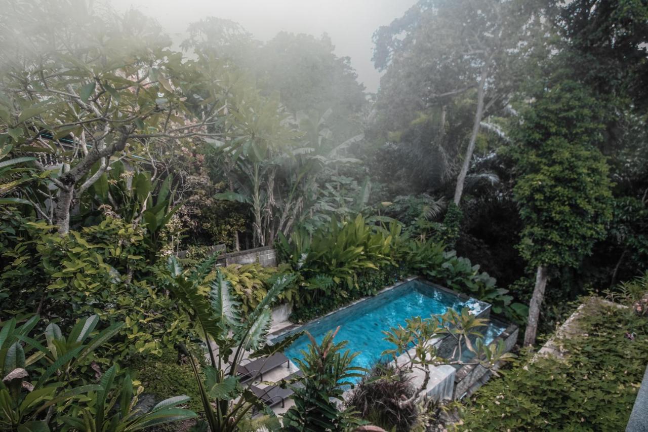 Aji Lodge Bungalow 우붓 외부 사진
