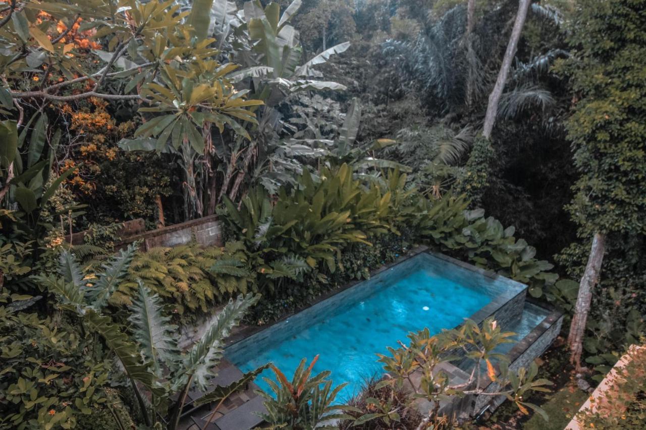 Aji Lodge Bungalow 우붓 외부 사진