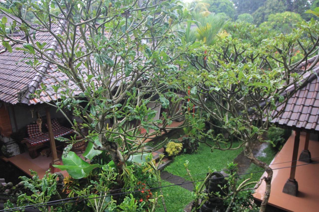 Aji Lodge Bungalow 우붓 객실 사진