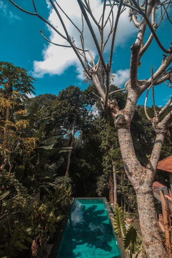 Aji Lodge Bungalow 우붓 외부 사진